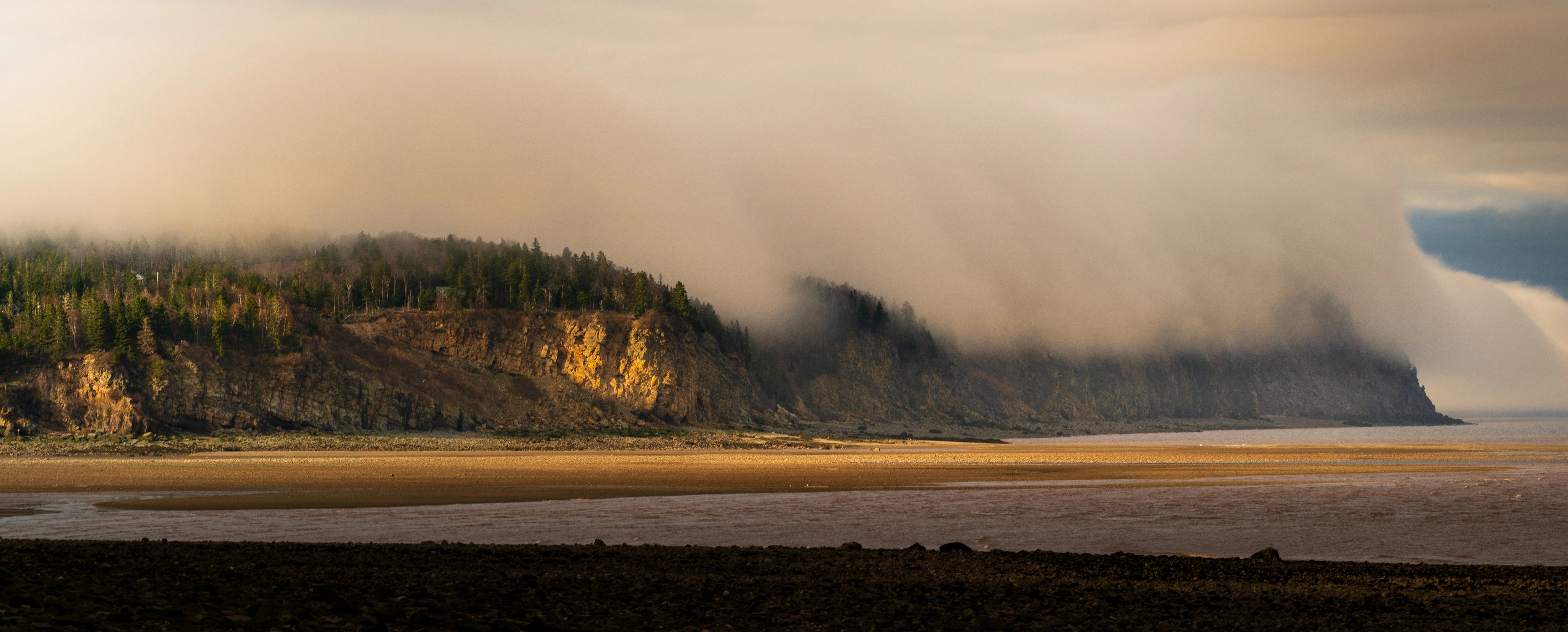 Fundy National Park Cliffs In Rolling Fog